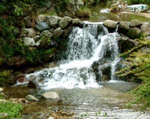 飛鳥川（稲淵）