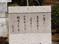 hikonejyo138