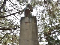 hamamatsu14