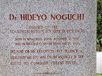 noguchihideyoseisyunhiroba11