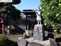 新田義貞　大黒天開運神社(神奈川県大和市下鶴間2233)