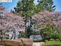 前田利長　高岡城跡(富山県高岡市本丸町６－１)