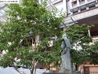 hakata12